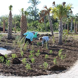 Puschel Patrol Quarterly Cleanup Day