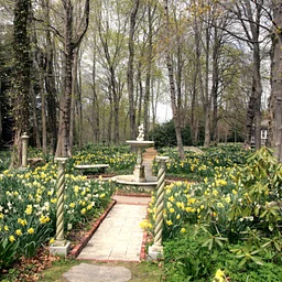 Daffodil Planting Primer