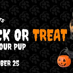 Trick or Treat with your Pup