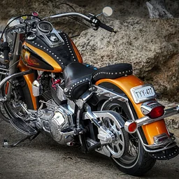 Bike Night