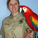 Amazing Animal Ambassadors – Birds of the world