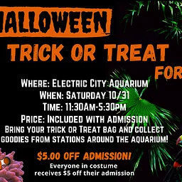 Halloween Trick or Treat for Kids!