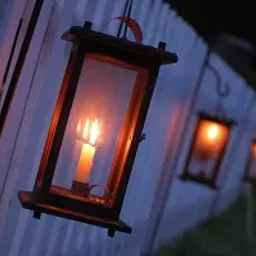 Twilight Garden Tour: Poison, Potions & Folklore in the Colonial Garden