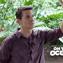 Adam in the Amazon: Antimiki Documentary
