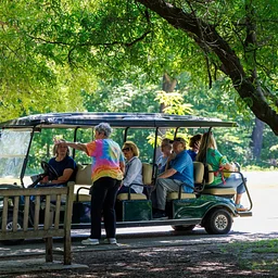 Fall Tram Tours