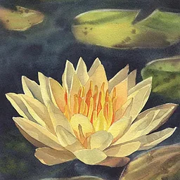 Watercolor class