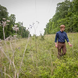 Warm-Season Grasses of the Georgia Piedmont