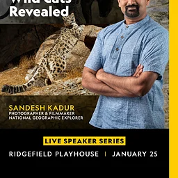 National Geographic Live – Wild Cats Revealed