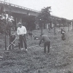 Greening the Greenway: Ohlone Greenway Hike