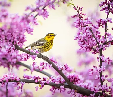 Friday Guided Nature Walks