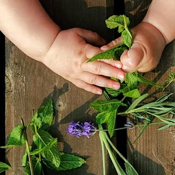 Holding Hands a Children's Herb Class