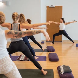 Hatha Yoga Teacher Training Webinar