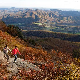 Living with Nature at Wintergreen Hikes- November 14, 2026