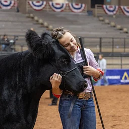 127th Livestock Show