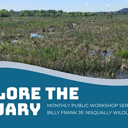 Explore the Estuary: Public Workshop Series