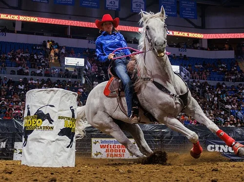 St. Louis SERA Rodeo