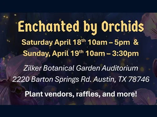 Enchanted by Orchids: HOTOS Plant Sale (Day 1)