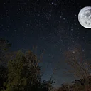 Full “Thunder” Moon Night Hike