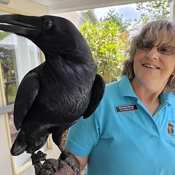 Predators at Risk: The Deadly Journey of Rodenticides with Mary-Beth Kaeser