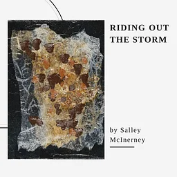 Riding Out the Storm by Salley McInerney