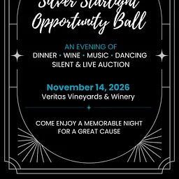Silver Starlight Opportunity Ball