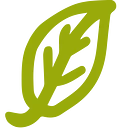 21 Roots Farm