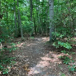 Prospect Mill Guided Hike