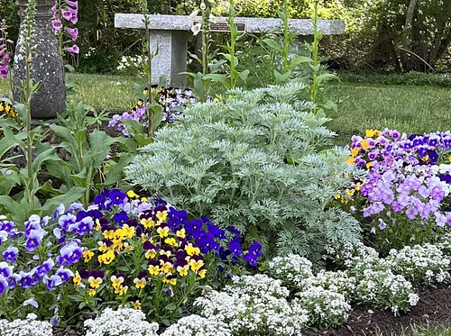 Native Plants, Heirloom Flowers, and a Brewster Garden's History