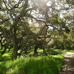 California Biodiversity Day Bioblitz at Marks Ranch | September 12