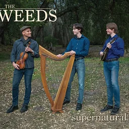 The Weeds: Trio of Innovative Original Irish Melodies