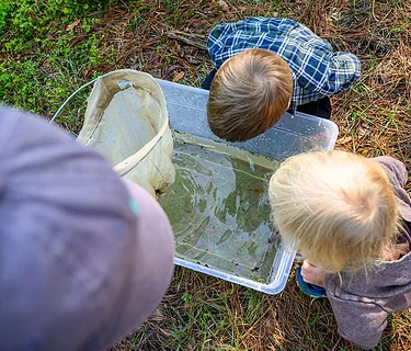 Tot Trot: Bioblitz, Free Day