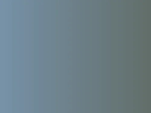 The American Revolution in South Carolina: Blacks & Whites, Women & Men