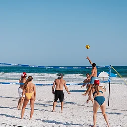 Free Beach Volleyball