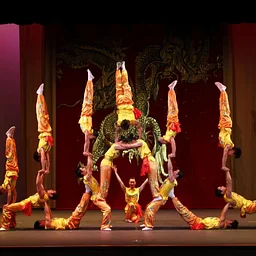 The Peking Acrobats