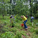 Frick Park Stewardship Days