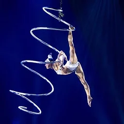 A Magical Cirque Christmas