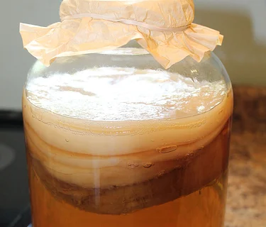 Kombucha Making