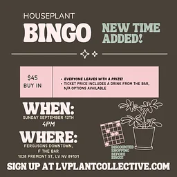 LV Plant Collective: Houseplant Bingo