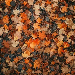 Fall Leaves Crafts Week