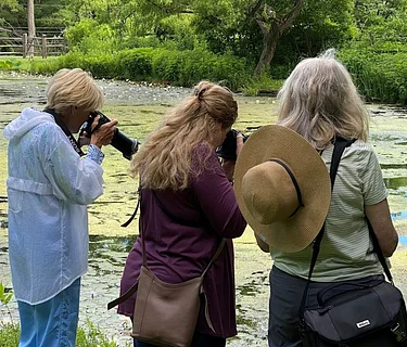 Photo Walk (6/20)