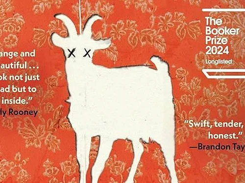 Great Irish Book Club – Wild Houses