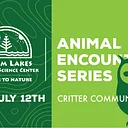 Animal Encounter Series: Critter Communities