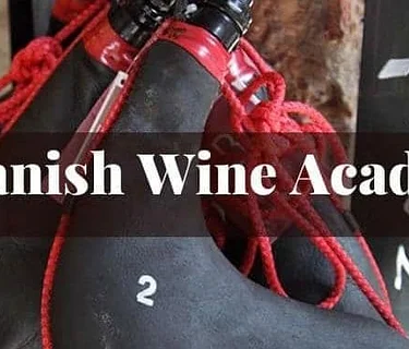 Spanish Wine Academy: The Wine Tasting Class