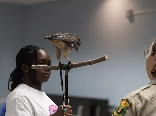 Black Birders Week: Wings of Watkins