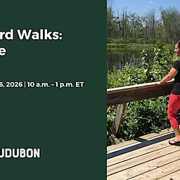 Leading Bird Walks: Spicer Lake Workshop