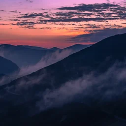 Seeing Light: Landscape Photography at the North Carolina Arboretum