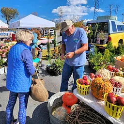 Beech Mountain Farmers Market
