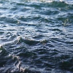 Camden Conference Community Event: ‘Who Governs the Oceans? The Law of the Sea in a Shifting World Order’ with Ezgi Yildiz