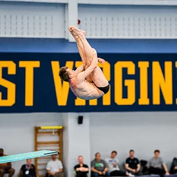 NCAA Diving Zone Meet