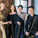 Meet the Terra String Quartet